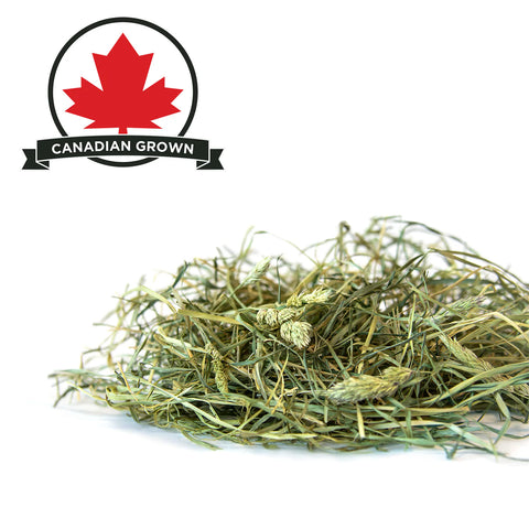 Stoter Farm Premium Orchard Grass