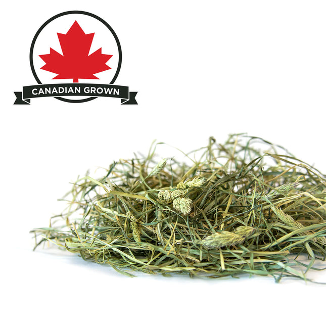 Stoter Farm Premium Orchard Grass