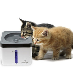 Collection image for: Cat Bowls & Accessories
