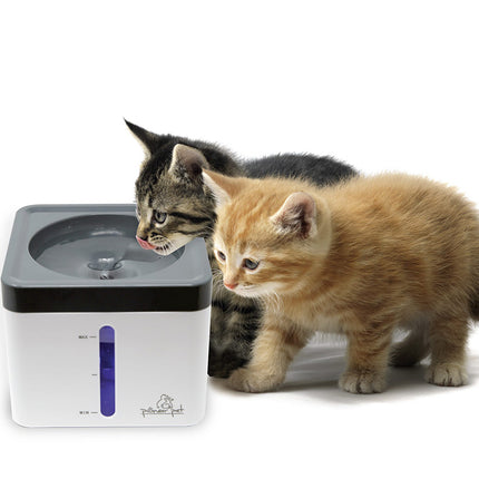 Pioneer Pet Mini Vortex Pet Fountain - 80 oz