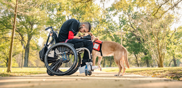<h2>The Service Dogs, Inc. team fuels their incredible trainees with premium nutrition from Nulo.</h2>