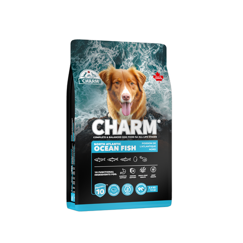 CHARM W.I.L.D | Dry Dog Food 340g