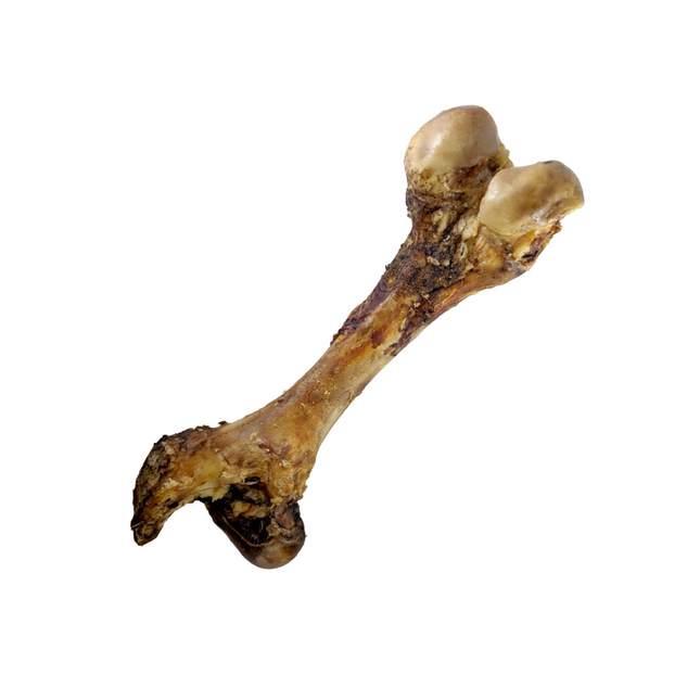 Dog Bites Giant Femur Dog Treats