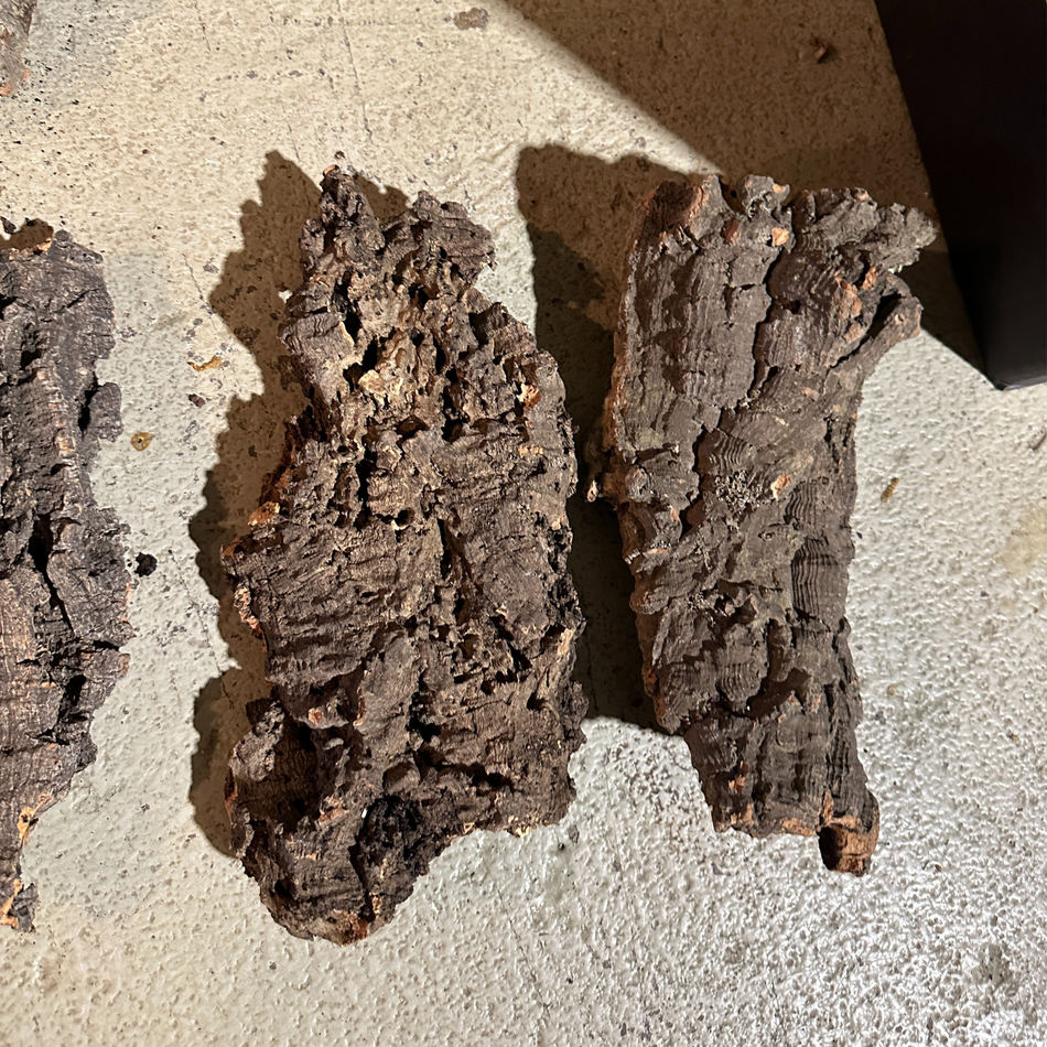 Jurassic Reptile Cork Bark - Medium 9-12"