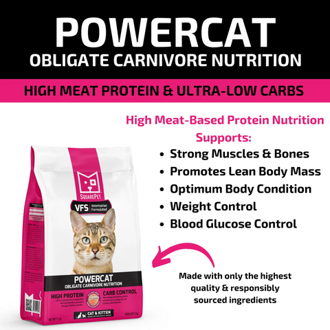 SquarePet VFS PowerCat | Dry Cat Food