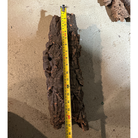 Jurassic Reptile Cork Bark - Large 13-18"