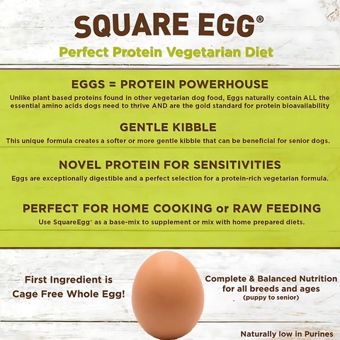 SquarePet Square Egg Meat Free Diet | Dry Dog Food