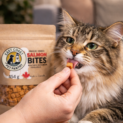 East Coast Pet Pantry Freeze Dried Salmon Treats