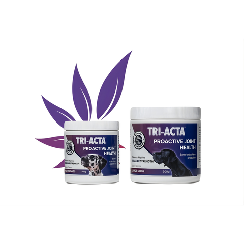 TRI-ACTA Regular Strength Joint Care | Dog & Cat Supplement