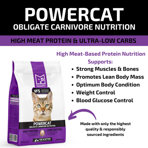 SquarePet VFS PowerCat | Dry Cat Food