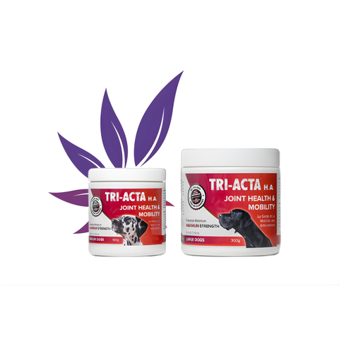 TRI-ACTA H.A. Maximum Strength Joint Care | Dog & Cat Supplement