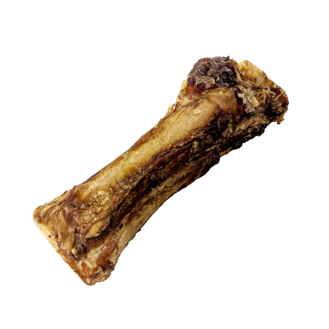 Dog Bites Marrow Bone