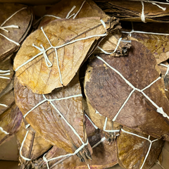Collection image for: Reptile Decorations & Substrates Botanicals & Leaf Litter