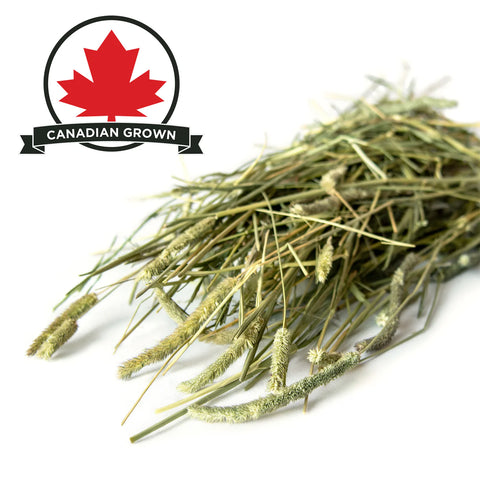 Stoter Farm Premium Timothy Hay