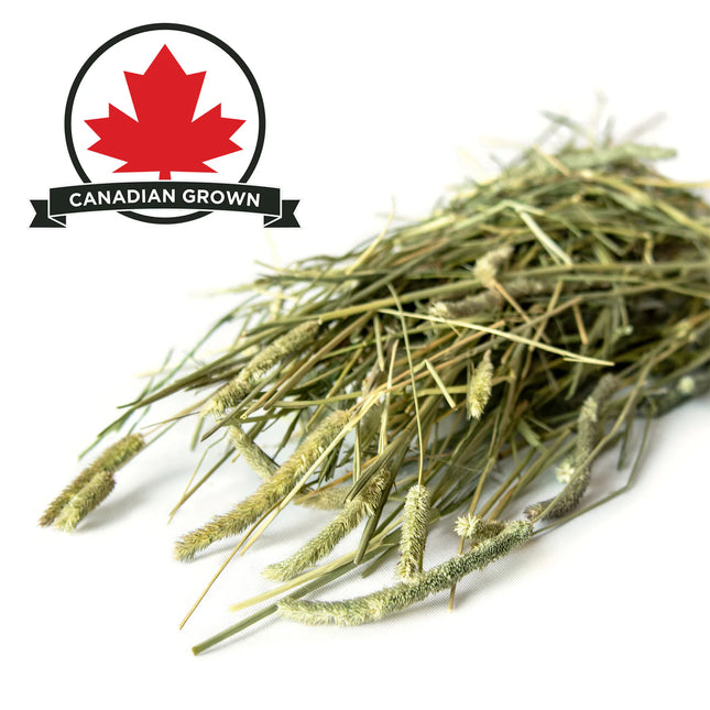 Stoter Farm Premium Timothy Hay