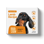 Lamb Recipe