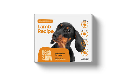 Back2Raw Complete Meals - 12 lb | Raw Dog Food