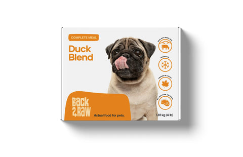 Back2Raw Complete - 4 lb | Raw Dog Food