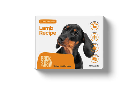 Back2Raw Complete - 4 lb | Raw Dog Food