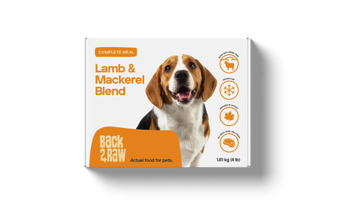 Back2Raw Complete - 4 lb | Raw Dog Food