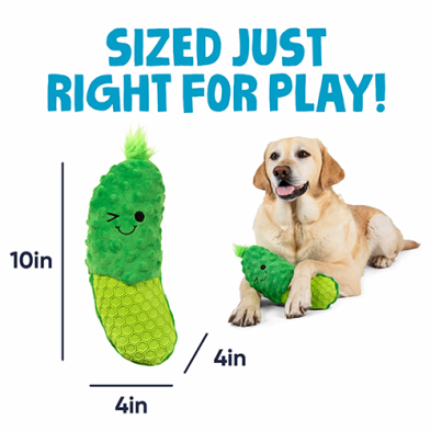 goDog Tough ‘N Textured Dillbert Pickle