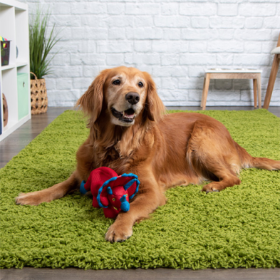goDog Double Chew Guard Dino Frills Red