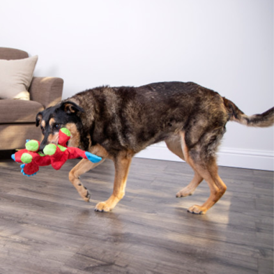 goDog Chew Guard Dinos Frills the Triceratops - Large