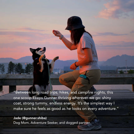 dogged DCS: daily canine synbiotic