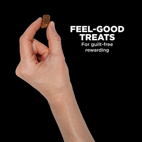 Go! Solutions Benefit Chews Digestion + Gut Health Dog Treats