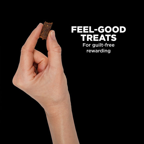 Go! Solutions Benefit Chews Skin & Coat Care Dog Treats