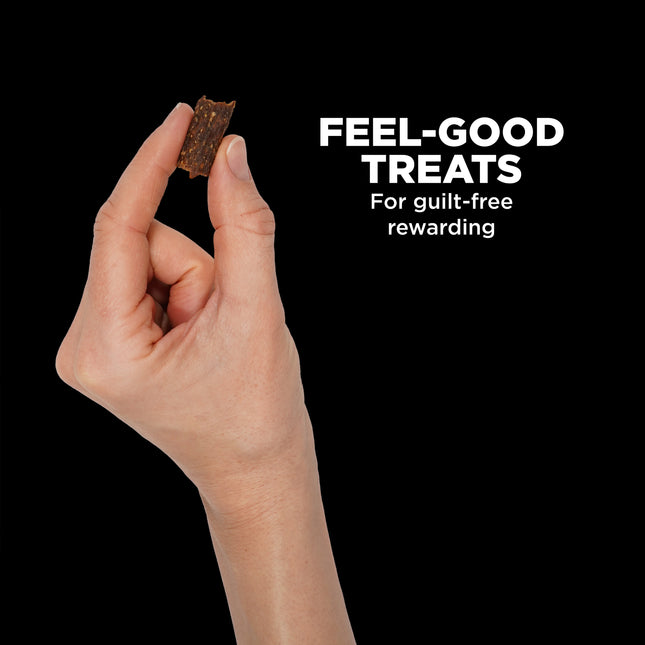 Go! Solutions Benefit Chews Skin & Coat Care Dog Treats