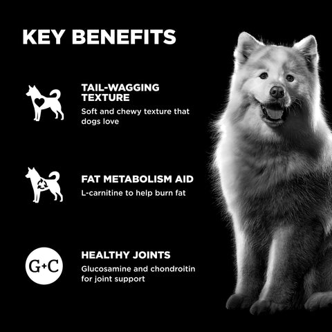 Go! Solutions Benefit Chews Weight + Joint Care Dog Treats