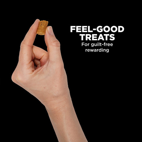 Go! Solutions Benefit Chews Sensitivities LID Dog Treats