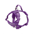 Purple / Small