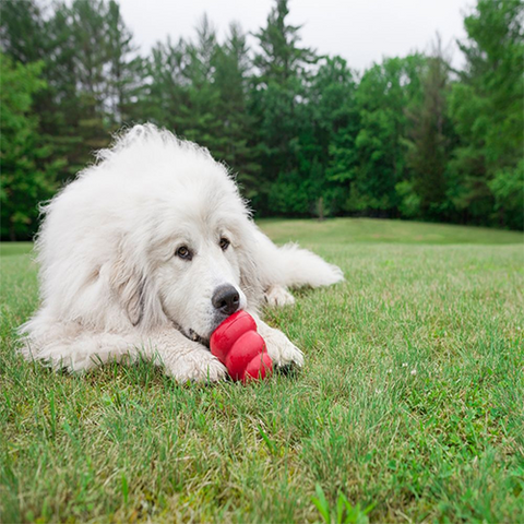 Kong Classic X-Large Dog Toy