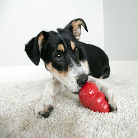 Kong Classic Large Dog Toy
