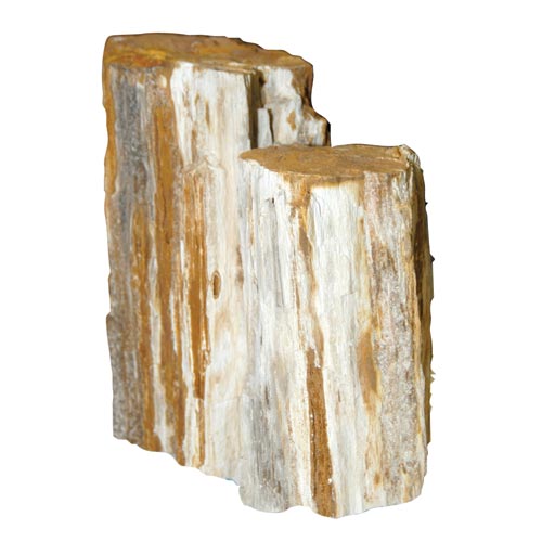 Feller Stone Petrified Wood