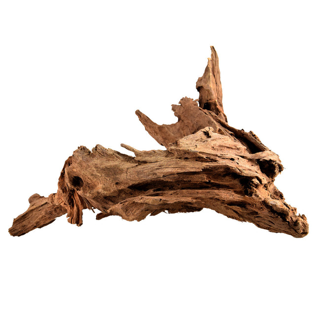 Malaysian Wood - XX-Large