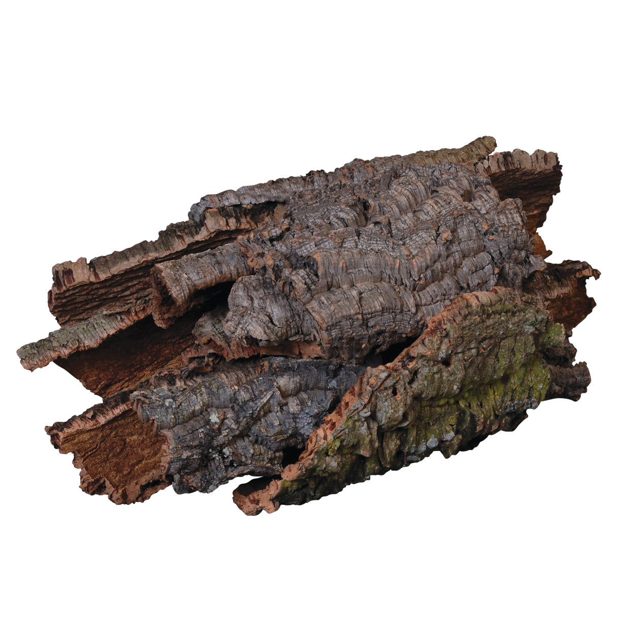 Jurassic Reptile Cork Bark (per lb)