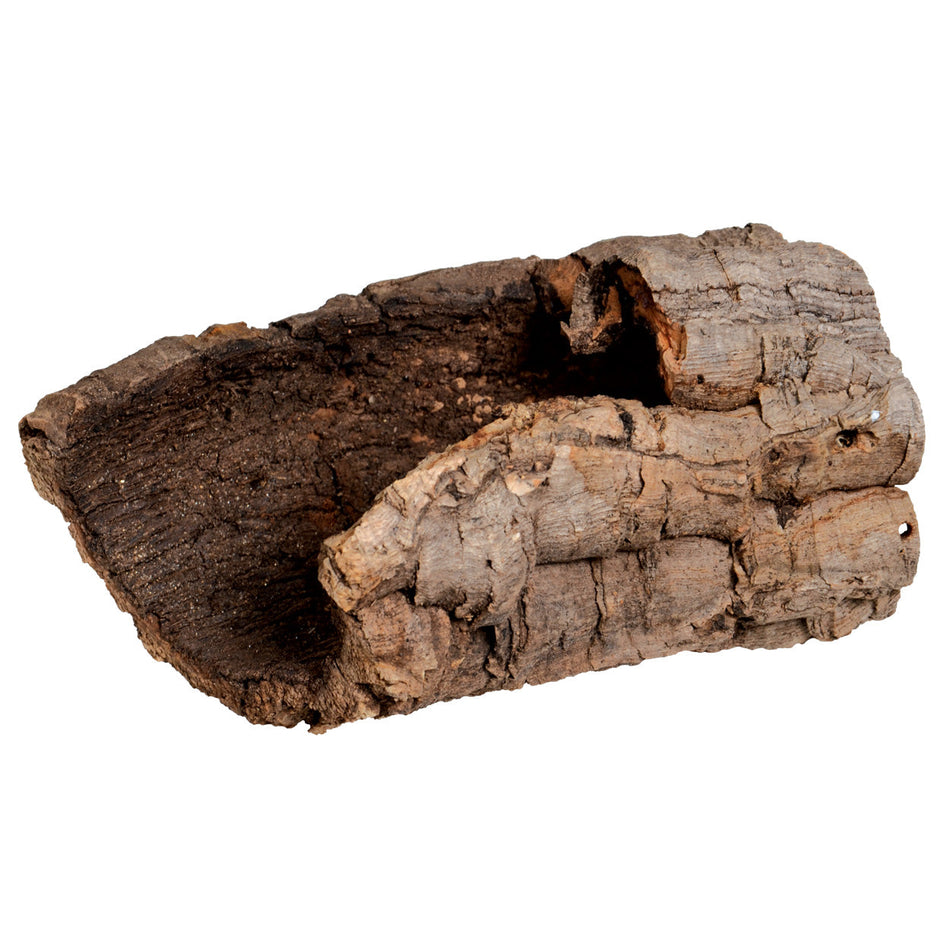 Jurassic Reptile Cork Bark Tube - Small 4-6" Length