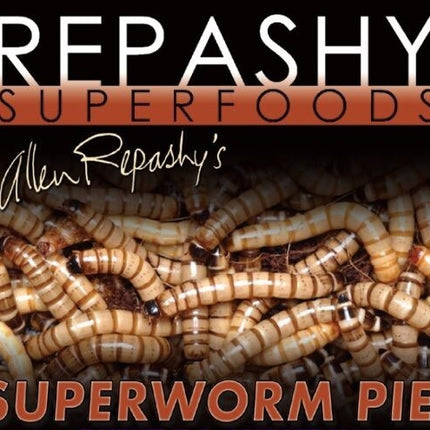 Repashy Superworm Pie