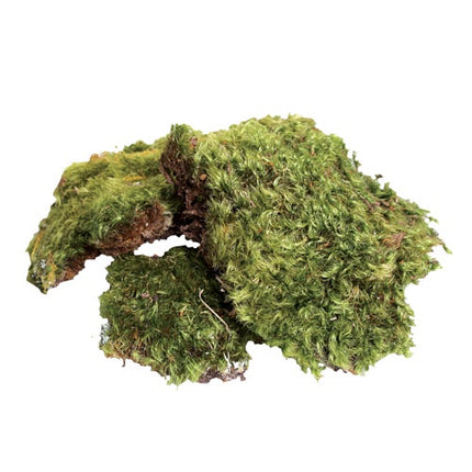 Zoo Med All Natural Frog Moss - 80 Cubic Inches