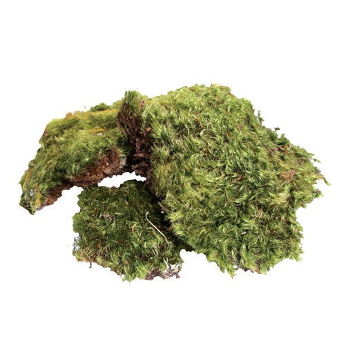 Zoo Med All Natural Frog Moss - 80 Cubic Inches