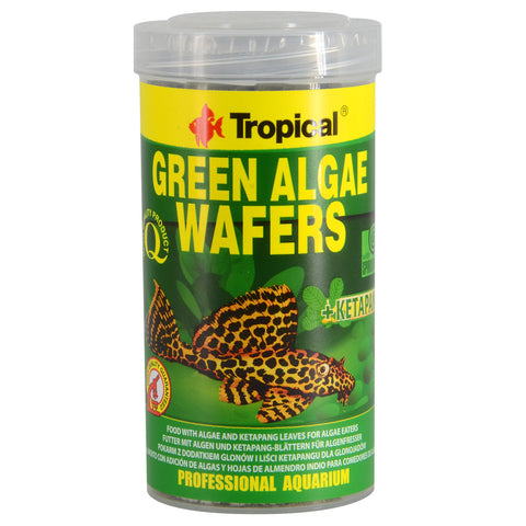 Tropical Green Algae Wafers