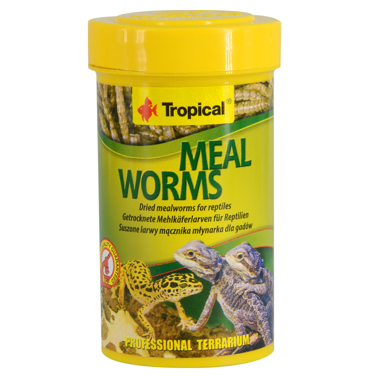Tropical Dried Mealworms - 13 g