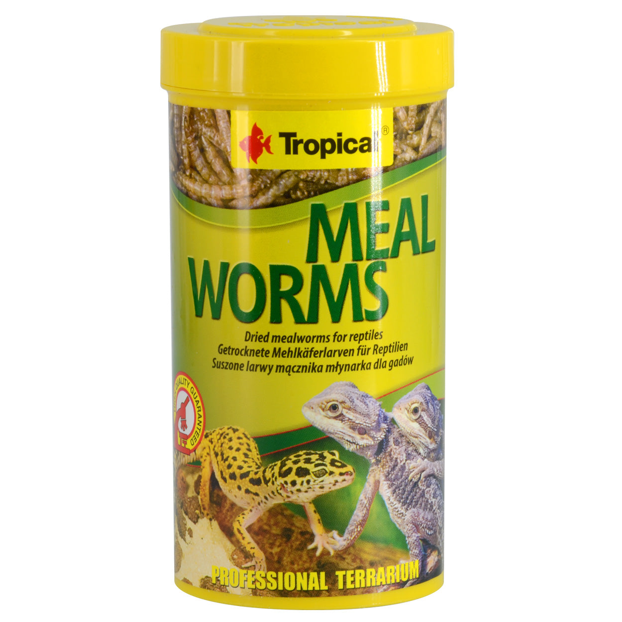 Tropical Dried Mealworms - 30 g