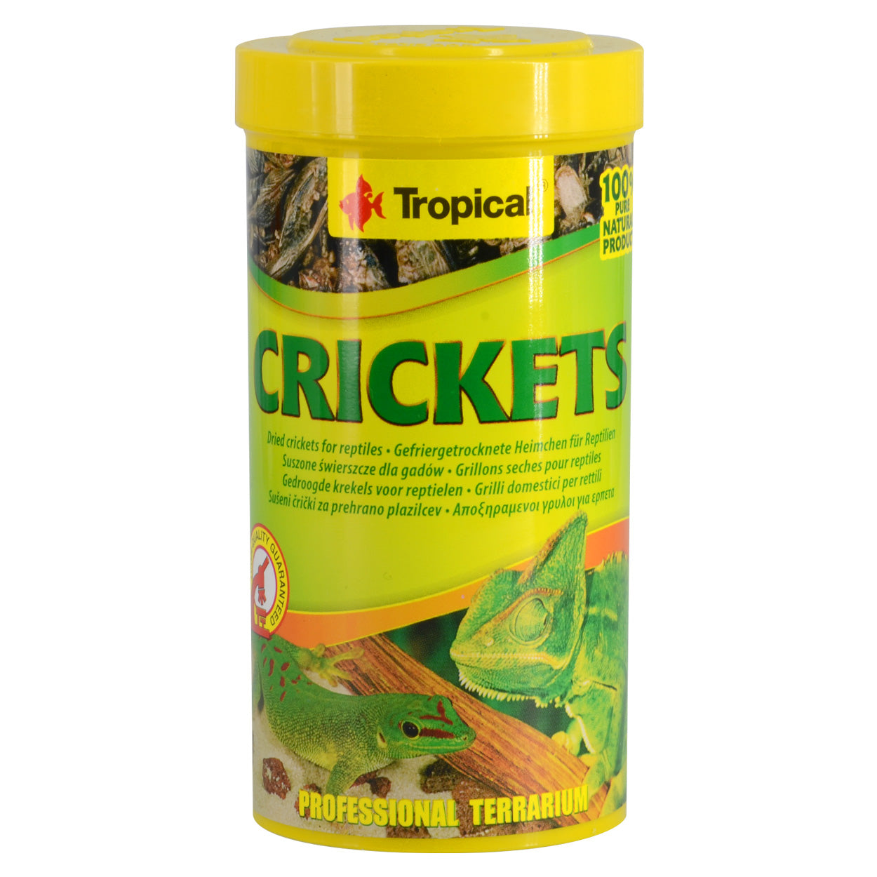 Tropical Dried Crickets - 25 g