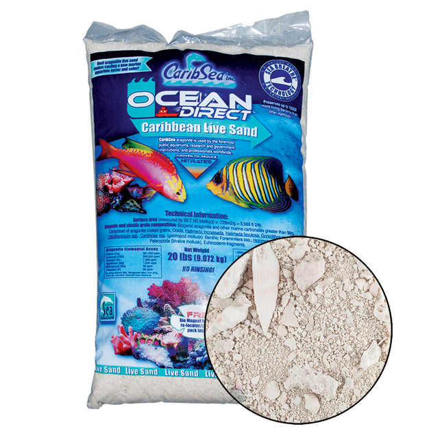 Ocean Direct Caribbean Live Sand