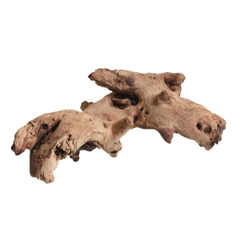 Mopani Wood