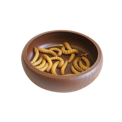 Collection image for: Reptile Accessories